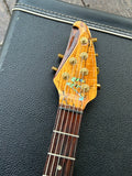 2001 Brian Moore Custom C-90P (13 Pin System)