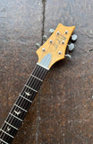 2003 PRS SE Silver Sky Dragon Fruit