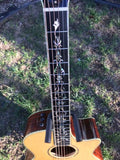 2004 Taylor Presentation Series