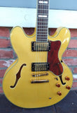 2009 Epiphone Sheraton II