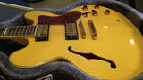 2009 Epiphone Sheraton II