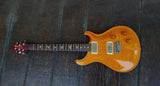 2009 Paul Reed Smith Custom 22