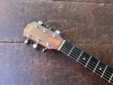 2010 Taylor 210e-G