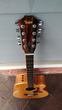 2012 Taylor Baritone 8
