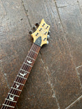 2019 PRS CE24