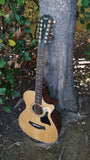 2021 Taylor 12 String 352ce