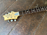 2022 Paul Reed Smith SE Silver Sky