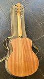 2025 Taylor GS Mini Mahogany
