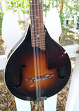 60's Harmony Monterey Mandolin