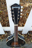 60's Harmony Monterey Mandolin