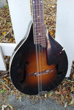 60's Harmony Monterey Mandolin