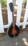 60's Harmony Monterey Mandolin