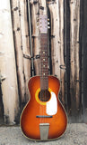 60's Silvertone Acoustic Parlor