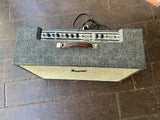 60's Supro Model 1688TN