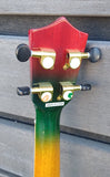 Amahi Flamed Maple with Rainbow Shading PGUK555C