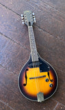 Amati Mandolin Acoustic electric