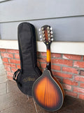Amati Mandolin Acoustic electric