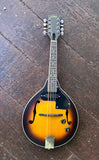 Amati Mandolin Acoustic electric