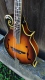 Aria Mandolin M800