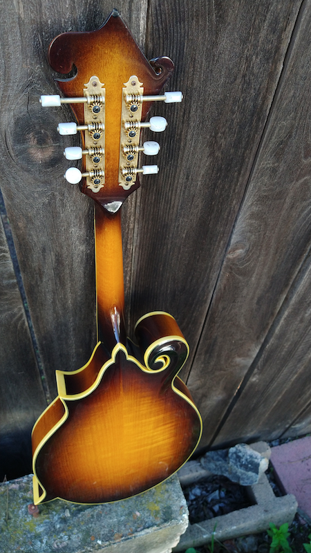 Aria Mandolin M800 – Moze Guitars Aria Mandolin M800 – Moze Guitars