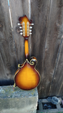 Aria Mandolin M800