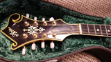 Aria Mandolin M800