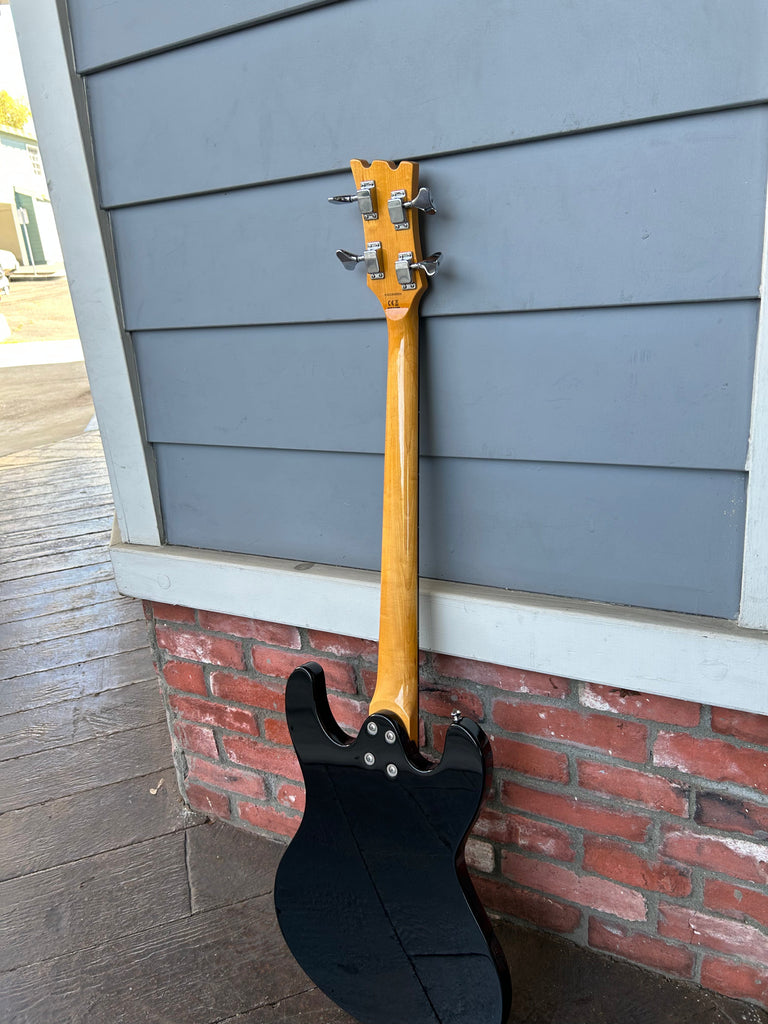 Aria Pro II Retro Classic DM-206 Black – Moze Guitars