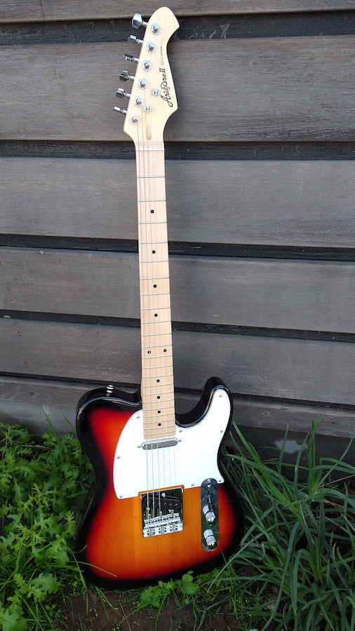 Aria Pro II TEG-002-3TS – Moze Guitars