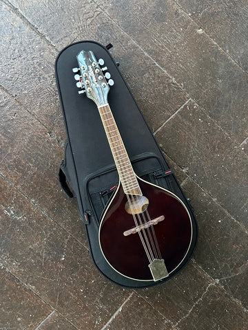 Breedlove Crossover 00 VS