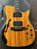 Carvin AE 185