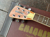 Chiquita Travel Guitar