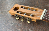 Custom Acoustic