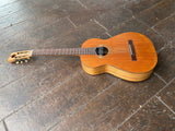 Custom Acoustic