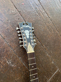 D'Angelico Premier Fulton LS (12 String)