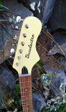 DanElectro 67 Yellow
