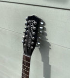 Danelectro 12 String