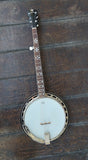 Danville Banjo BJ-24