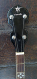 Danville Banjo BJ-24