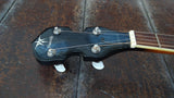 Danville Banjo BJ-24