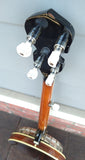 Danville Banjo BJ-24
