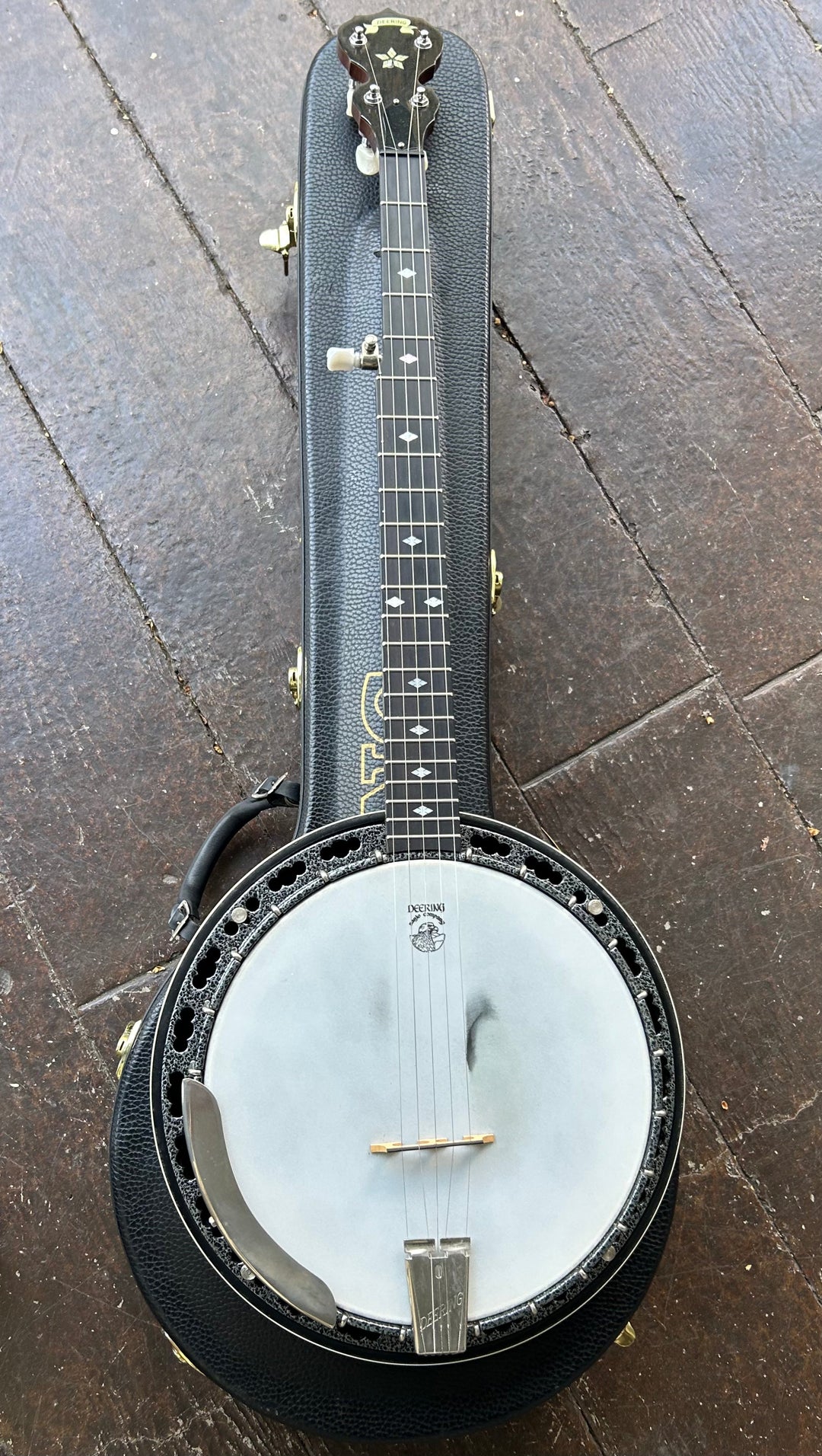 Mandolin / Banjo – Moze Guitars