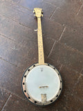 Deering Goodtime Two Banjo