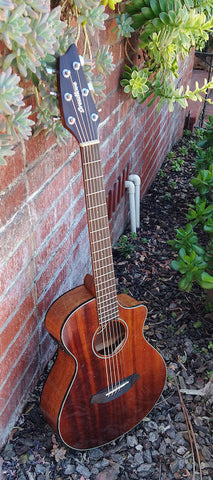 Discovery Companion CE Mahogany Natural