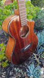 Discovery Companion CE Mahogany Natural