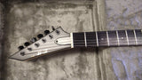 ESP EII MI