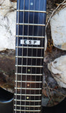 ESP EII MI