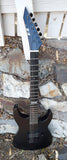 ESP EII MI
