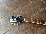 Epiphone ES-335
