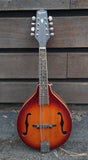 Epiphone Mandolin with Pickup