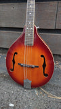 Epiphone Mandolin with Pickup